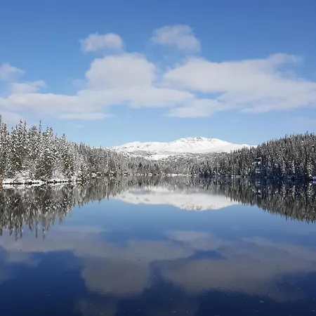 Modern Mountain With Panorama View بيت للعطل Eggedal